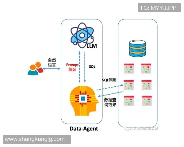 深入探讨上海排球队技术表现的数据分析与发展潜力研究 深入探讨上海排球队技术表现的数据分析与发展潜力研究