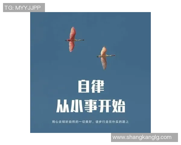 吴伟谈攀岩人生:从初学者到顶尖高手的心路历程与成长故事 吴伟谈攀岩人生:从初学者到顶尖高手的心路历程与成长故事