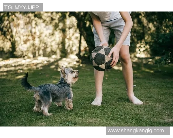 足球明星与爱犬亲密互动瞬间展现温暖与友爱的完美结合 足球明星与爱犬亲密互动瞬间展现温暖与友爱的完美结合