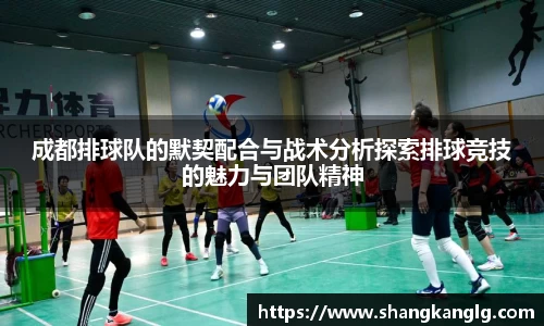 成都排球队的默契配合与战术分析探索排球竞技的魅力与团队精神
