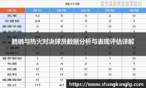 鹈鹕与热火对决球员数据分析与表现评估详解