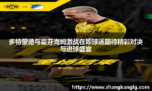 多特蒙德与霍芬海姆激战在即球迷期待精彩对决与进球盛宴
