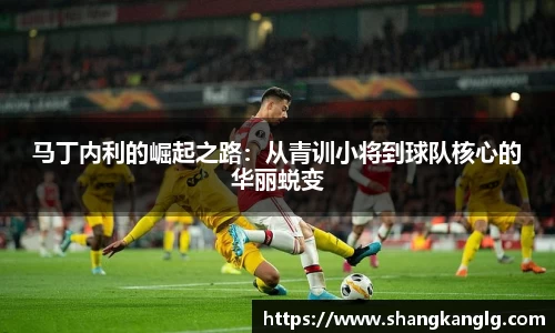 马丁内利的崛起之路：从青训小将到球队核心的华丽蜕变