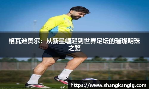 格瓦迪奥尔：从新星崛起到世界足坛的璀璨明珠之路